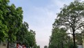 123.4m2 3 mặt tiền phố kinh doanh sầm uất rộng 17m  tại Trâu Quỳ, Gia Lâm.